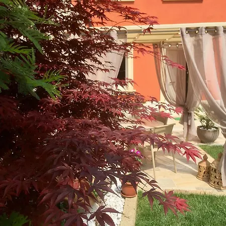 Apartment Relais Maison Maurice Valeggio sul Mincio